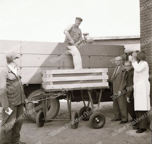 Høegh Guldbergs Gade 3