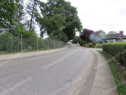 Sportsvænget