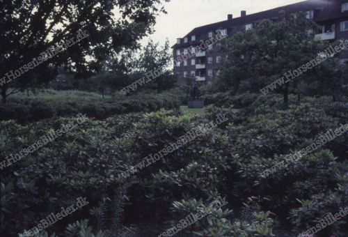 Vitus Berings Park