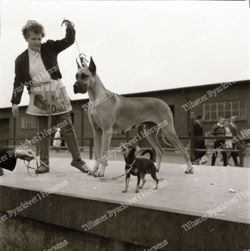 Høegh Guldbergs Gade 3