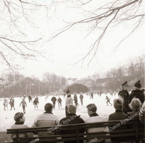 Bygholm Park