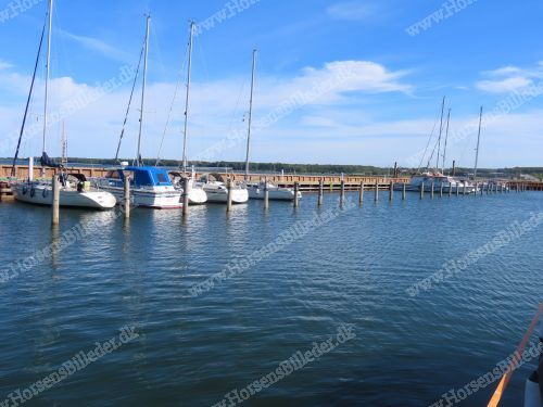 Nordøstpassagen 21