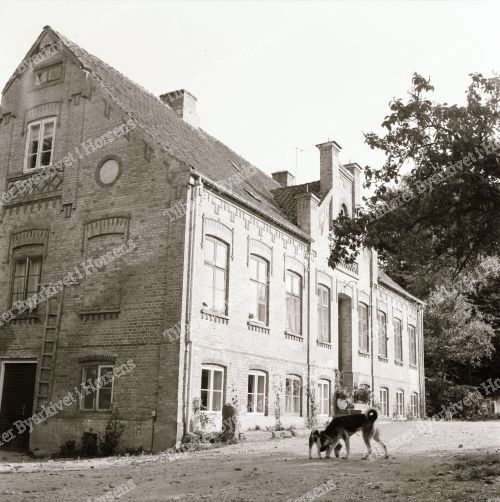 Gedved