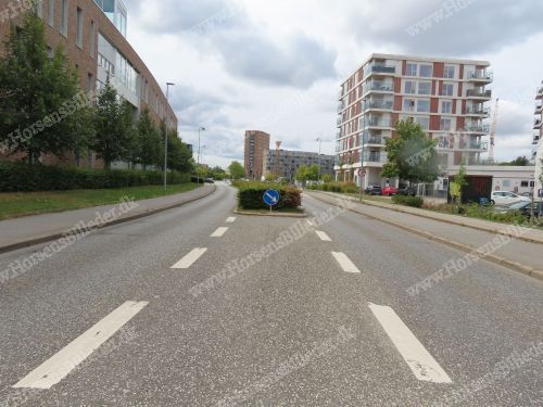 Niels Gyldings Gade