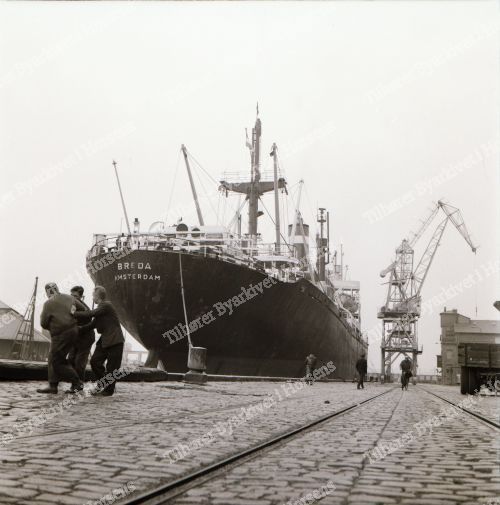 Havnen