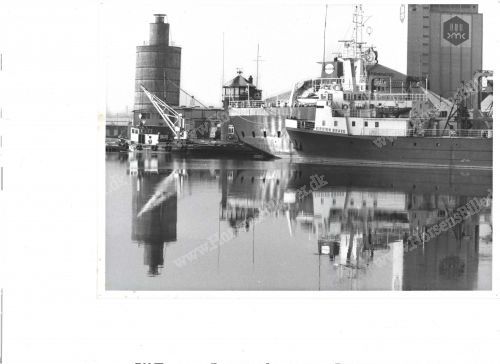 Havnen