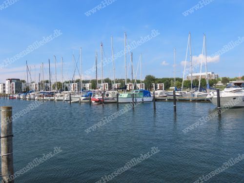 Nordøstpassagen 21