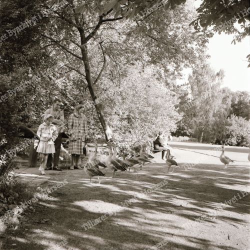 Bygholm Park
