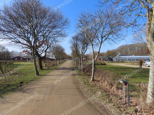 Husoddevej 85
